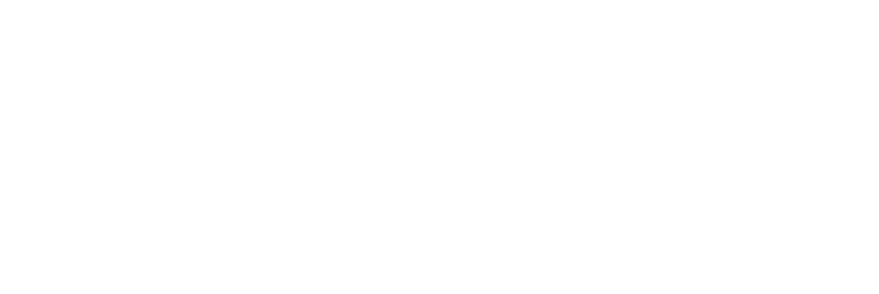 Puderbach Palettenwerk Logo